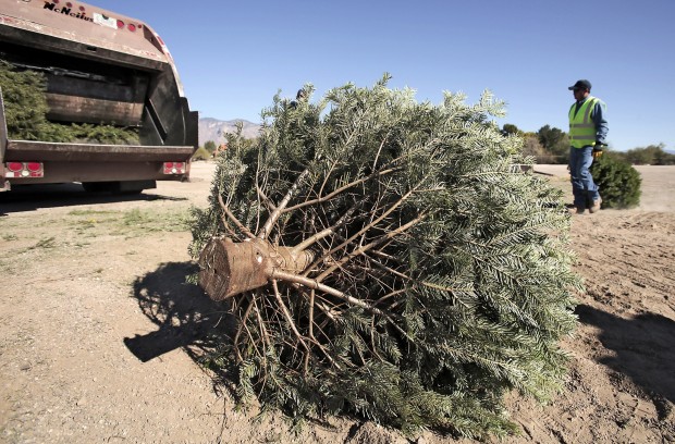 With Christmas over, it's time to do the green thing